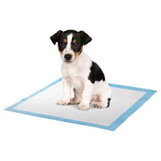 Puppy Training Pads (Pack of 100)