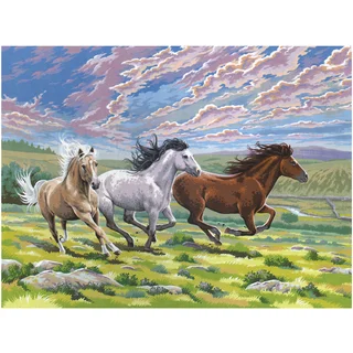 Paint By Number Kit 12inX16inGalloping Horses