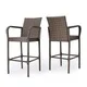 Delfina Outdoor Wicker Bar Stool (Set of 2) by Christopher Knight Home