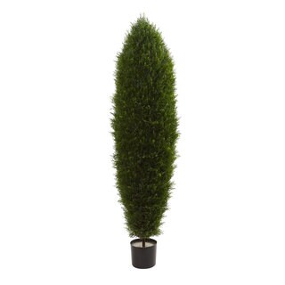 5-foot Cypress Tree UV Resistant (Indoor/Outdoor)