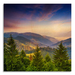 Gallery Direct 'Pine Trees Near Valley in Mountains and Summer Forest on Hills' Printed on Birchwood Wall Art