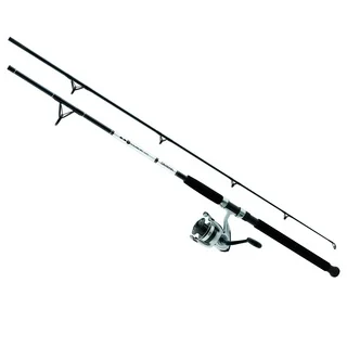 Daiwa D-Wave Saltwater 2-Piece Spinning Combo 10-foot