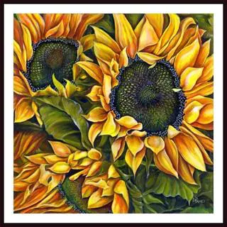 Debra Bucci 'Brilliant Sunflowers' Framed Art