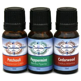 Essential Oils for Focus and Concentration Gift Set with Cedarwood, Patchouli, and Peppermint
