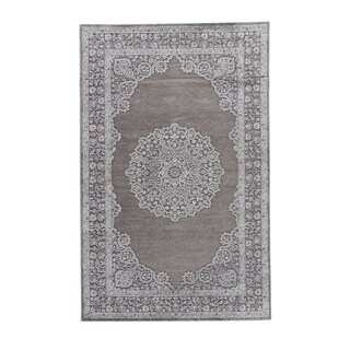 Classic Medallion Pattern Gray Rayon Chenille Area Rug (2x3)