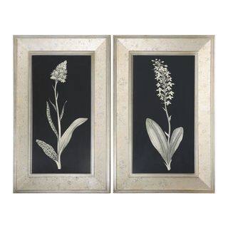 Antique Floral Study Framed Art (Set of 2)