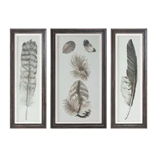 Feather Study Prints (Set of 3)