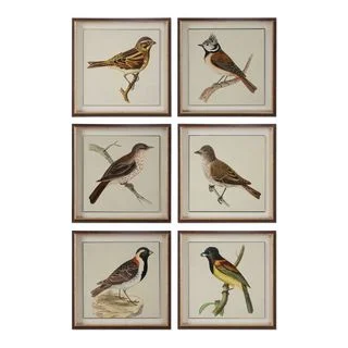 Spring Soldiers Bird Prints (Set of 6)