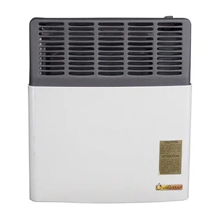 Ashley Direct Vent Gas Heater