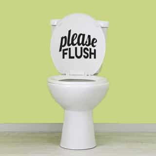 Please Flush' 6 x 5-inch Bathroom Wall Decal