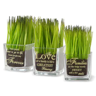 National Tree Company 'Family' Printed Square Glass Pot with Artificial Grass (Set of 3)