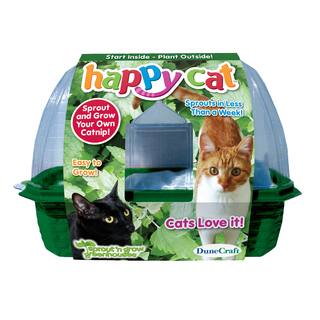 Happy Cat Plant Kit
