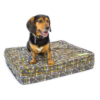 Arrow Grey Gel Memory Foam Orthopedic Dog Bed with Waterproof Cotton Canvas Cover