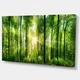 Thumbnail 11, Designart 'Forest with Rays of Sun Panorama' Landscape Canvas Print. Changes active main hero.