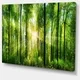 Thumbnail 6, Designart 'Forest with Rays of Sun Panorama' Landscape Canvas Print. Changes active main hero.