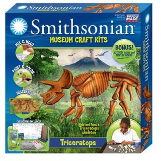 Smithsonian Museum Craft Triceratops Casting Kit