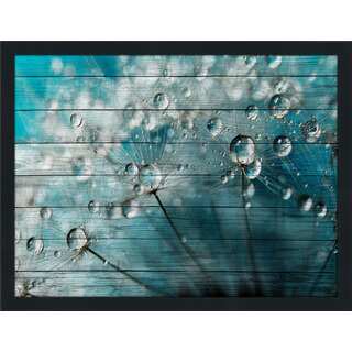 Sharon Johnstone 'Indigo With White Sparkles' Giclee Wood Wall Decor