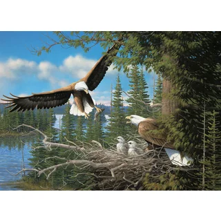 Cobble Hill: Nesting Eagles 1000 Piece Jigsaw Puzzle