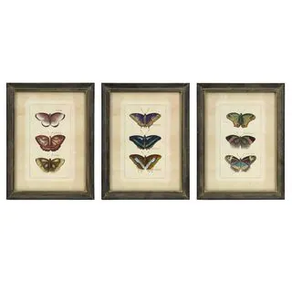 Butterfly Collection Wall Art - Set of 3