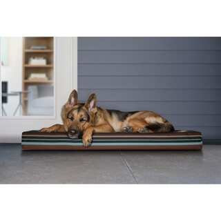 Furhaven Indoor/Outdoor Blue and Brown Polyester and Faux Suede Deluxe Memory Foam Dog Bed