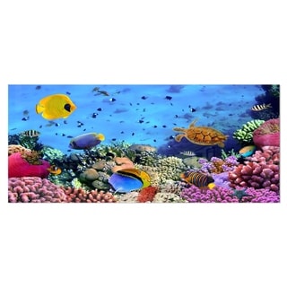 Designart 'Coral Colony and Coral Fishes' Seascape Photo Metal Wall Art