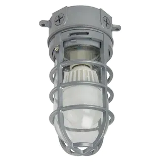 Lithonia Lighting Ceiling-Mount 1-light Outdoor Hanging Grey LED Vapor Tight