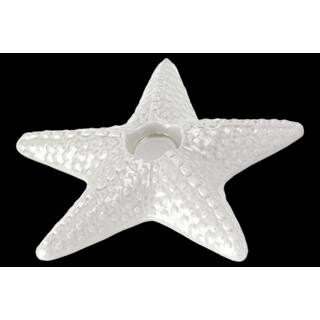 Urban Trends Collection Gloss White Ceramic Sea Star Candle Holder