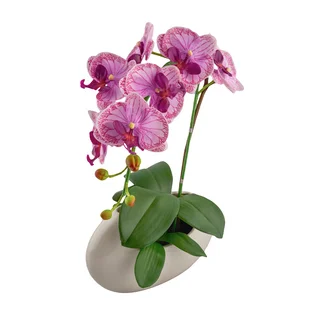 Phalaenopsis 17-inch x 9.75-inch Lavender Orchid with White Cylinder Vase