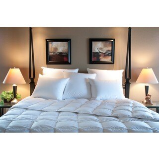 Ogallala Hypodown Avalon 600-fill Down Southern Comforter