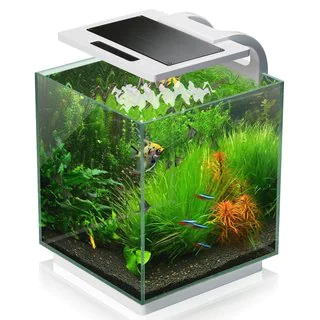 Vepotek Nano 4-Gallon Fish Tank Kit