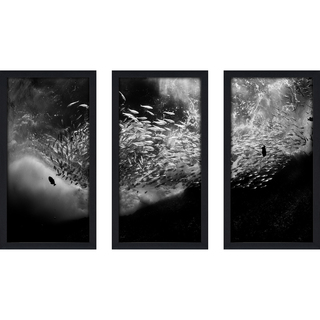 Craig Dietrich 'Cool School B+W' 3-piece Underwater Photography Framed Plexiglass