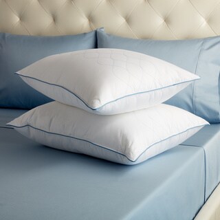 Sealy Posturepedic LiquiLoft Gel Support Standard/Queen Pillow (Set of 2)