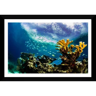 Craig Dietrich 'KeysReef' Framed Plexiglass Underwater Photography