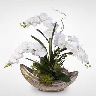 Real Touch White Phalaenopsis Orchid with Succulents in Nautilus Bowl with Spheres