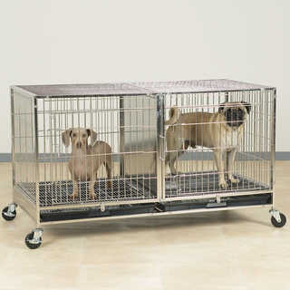 ProSelect Modular Stainless Steel Dog Kennel