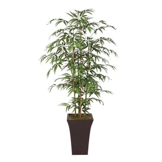66-inch High Bamboo Tree with Real Bamboo Poles in Metal Container