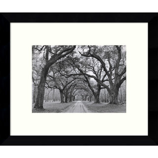 Framed Art Print 'Oak Arches' by Jim Morris 11 x 9-inch