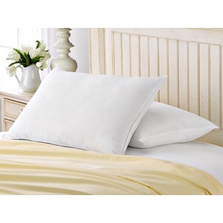 Exquisite Hotel Signature Collection King-size Pillow (Set of 2)