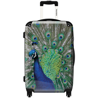 Murano by ikase Blue Peacock 20-inch Fashion Carry-on Hardside Spinner Suitcase