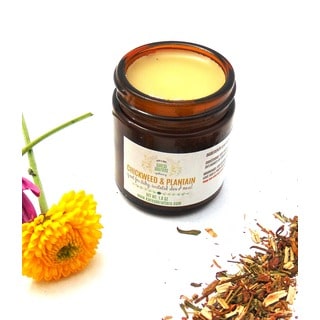 Chickweed & Plantain Salve, 100% Natural with Healing Herbs and Oils by Karess Krafters Apothecary