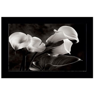 Sondra Wampler - Calla Lilies No. 1 Framed Art