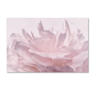 Cora Niele 'Pink Peony Petals III' Canvas Art