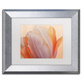 Cora Niele 'Orange Glowing Tulip' Matted Framed Art