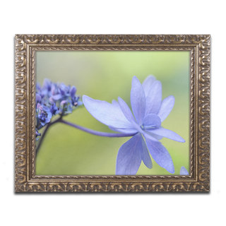 Cora Niele 'Blue Hydrangea' Ornate Framed Art