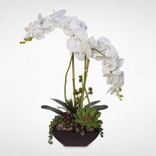Real Touch White Phalaenopsis Silk Orchids with Succulents in a Modern Metal Container