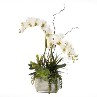 Real Touch Phalaenopsis Silk Orchid Arrangement with Succulents in a Stone Pot