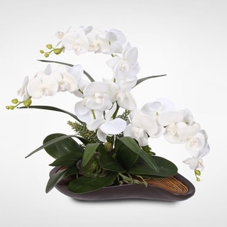 Real Touch Phalaenopsis Silk Orchids with Succulents in a Curved Wooden Style Bowl