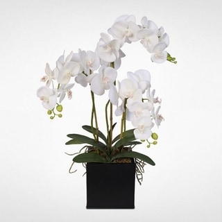 Real Touch Phalaenopsis Silk Orchids with Succulents in a Metal Pot