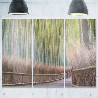 Pathway Inside Bamboo Forest - Forest Glossy Metal Wall Art - 36Wx28H