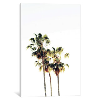 iCanvas The Palms Blanc by Chelsea Victoria Canvas Print